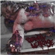 Bowel Leakage - Harvest Of Nauseating Remnants