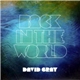 David Gray - Back In The World